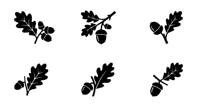 set of acorn and oak tree branch icons on white background