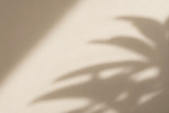 Soft, diffused sunlight casts a gentle shadow of palm leaves onto a neutral-toned wall, creating a serene and minimalist aesthetic.