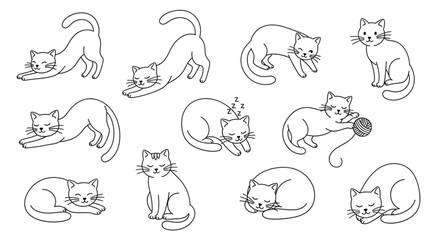 Fototapeta premium Collection of Hand Drawn Cat Illustrations in Various Poses.