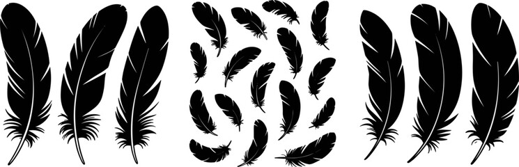 Black bird feather silhouette collection with large quill feathers and scattered falling small feathers composition set vector illustration © Shakhawat