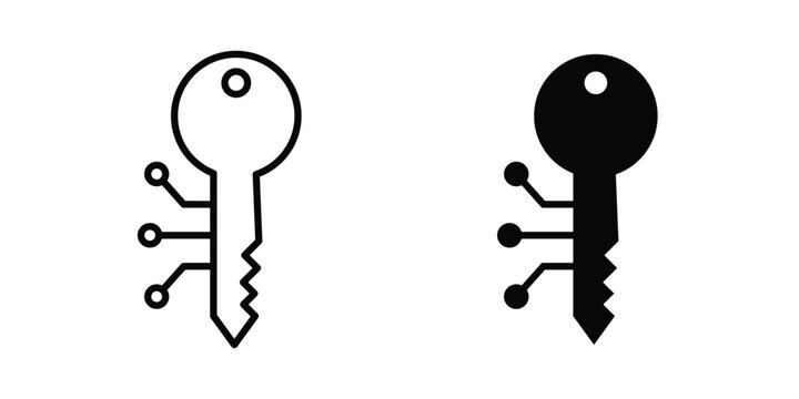 Digital key icon Illustration vector set, glyph and line icons