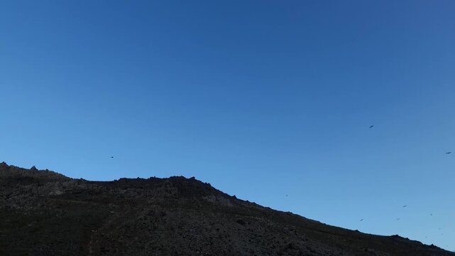  Swarm of birds flying in bright blue sky over hilltop, captured in motion representing natural freedom and unity among wildlife in scenic sky background. 