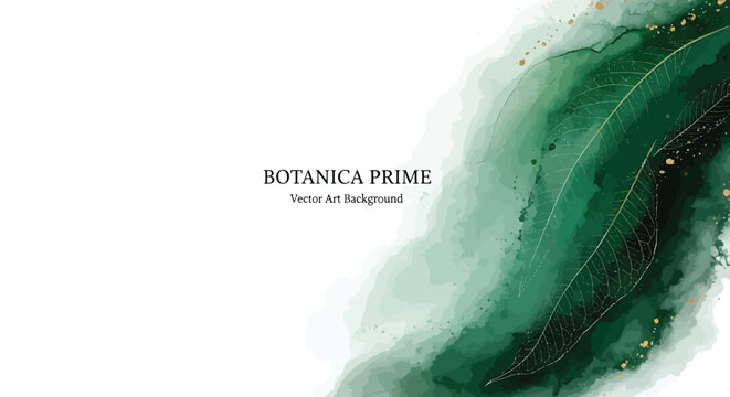 Botanical vector background, green watercolor illustration, abstract leaf texture, luxury botanica prime design element