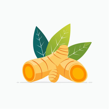 Turmeric root with green leaves illustration