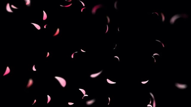 Animated pink flower petals falling on a black background.