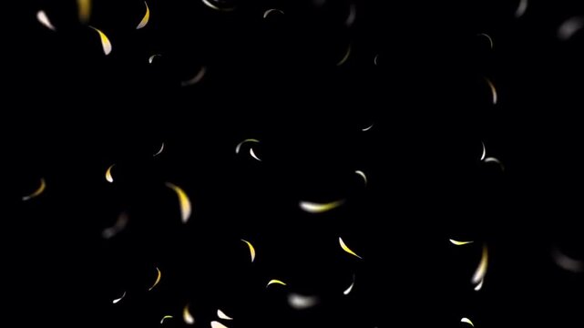 Animated pink flower petals falling on a black background.