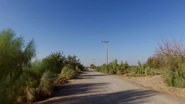   A paved road cuts through scrubby desert vegetation under a clear blue sky, empty and quiet, ideal for travel, isolation, and arid landscape concepts in 4K. 