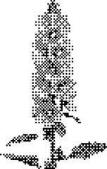 Vintage Monochrome Botanical Illustration of a Flowering Plant Spike with Detailed Stipple Texture and Organic Leaves © Fatema