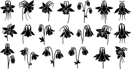 Fototapeta premium Collection of black columbine flower silhouettes on white background, aquilegia
