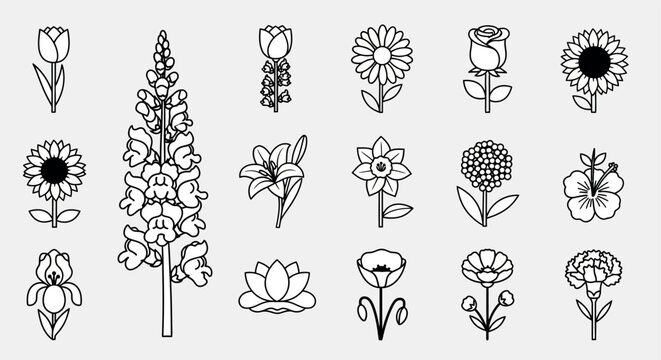 Black line of 16 different flowers and plants on light gray background, line black and, white botanical