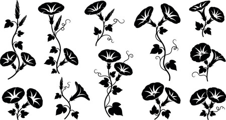 Black silhouettes of climbing plants with leaves and vines on white background © GT Designs