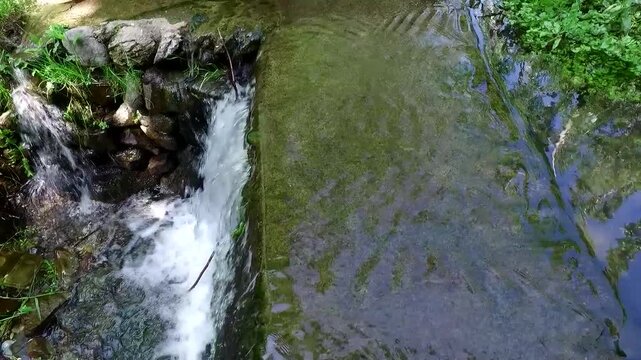  Water flowing over a small concrete dam creating a miniature waterfall in a green natural environment with surrounding vegetation and calm stream movement. 