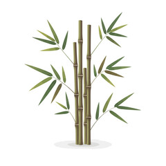 Naklejka premium Green bamboo stalks with long slender leaves on white background