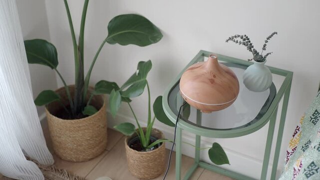 Aromatherapy diffuser and plants in a cozy corner