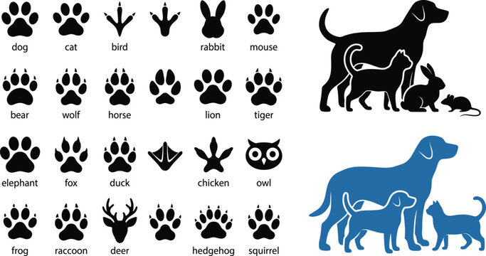Animal paw prints and silhouettes collection with dog cat bird rabbit bear wolf horse lion tiger elephant fox duck chicken owl raccoon cad drawing flat vector illustration.