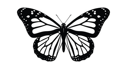 Monarch butterfly with detailed wing patterns black and white silhouette high quality © nhpvect02
