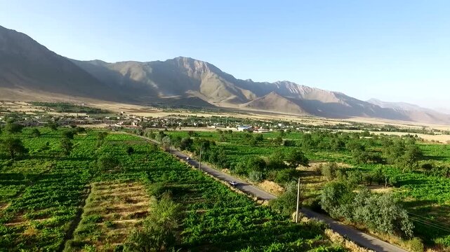  Wide aerial view of fruitful green orchards, river, and mountain range stretching across a sunny rural valley, highlighting Iranian agriculture, natural landscapes, and scenic countryside. 