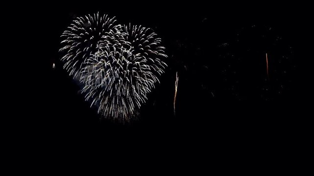 Realistic white firework on black background.