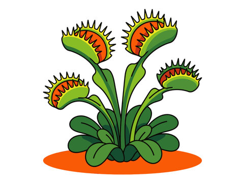 Venus Flytrap Illustration, Colorful Carnivorous Plant Cartoon Vector Art Isolated on White Background