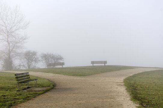 Diverging path   in Vanier Park on a foggy winter day, Vancouver, BC, Canada