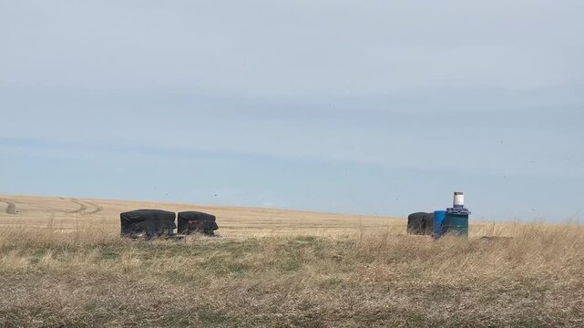 Bee farm apiary in Alberta prairie landscape with beehives and agricultural pollination environment
