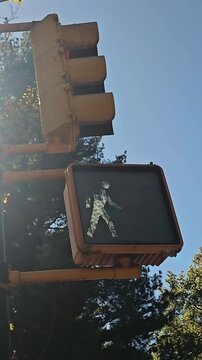Traffic signal with trees and sunlight, A pedestrian traffic signal displays a red hand under bright sunlight,