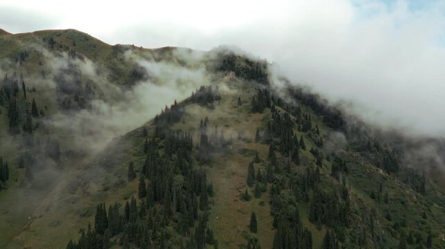 Aerial view of mystical clouds and fog rolling over mountain spruce forest