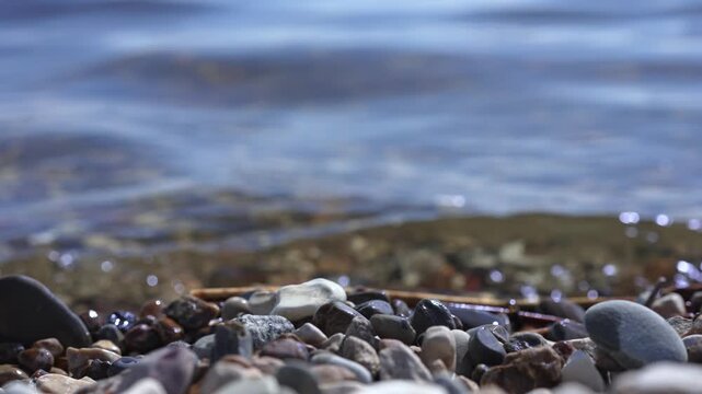 Glistening water gently embraces a vibrant mosaic of shoreline pebbles on a tranquil sunny day.
