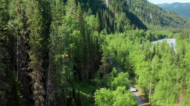 Aerial overview of lush mountain valley with winding river and forest road where car travels through scenic landscape. Expansive natural view of untouched wilderness in East Kazakhstan.