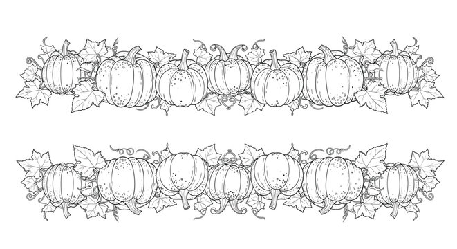 Black and white line art illustration of a horizontal border decoration made of several pumpkins and autumn leaves for coloring.
