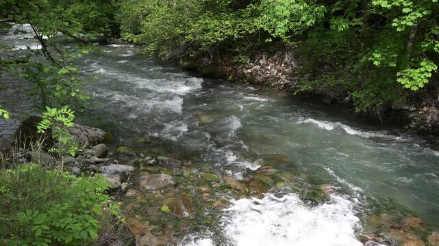 Remous dans une rivi&egrave;re