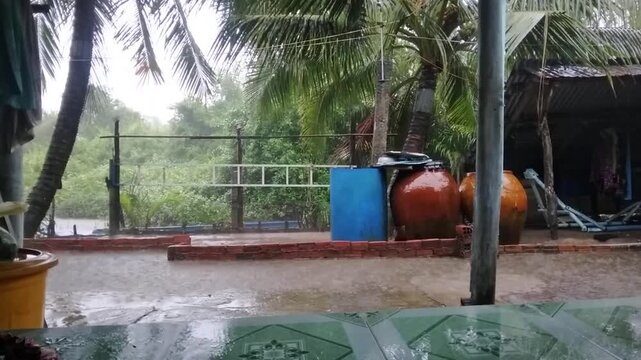 Light Rain with Wind Over Coconut Trees Static Shot p7