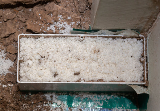 Termite bait stations to get rid of Termites. Pest control staff is installing termite bait stations termite bait stations are put on ground floor. get rid of termites.