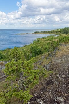 Scenic coastal cliff landscape at &Uuml;&uuml;gu Bluff (&Uuml;&uuml;gu pank) on the island of Muhu in cloudy summer weather, Estonia, Europe.