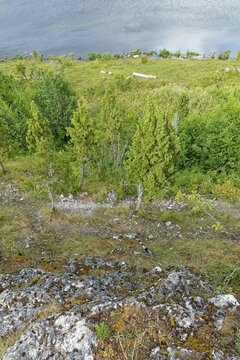 Scenic coastal cliff landscape at &Uuml;&uuml;gu Bluff (&Uuml;&uuml;gu pank) on the island of Muhu in cloudy summer weather, Estonia, Europe.