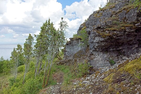 Scenic coastal cliff landscape at &Uuml;&uuml;gu Bluff (&Uuml;&uuml;gu pank) on the island of Muhu in cloudy summer weather, Estonia, Europe.