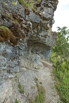 Scenic coastal cliff landscape at &Uuml;&uuml;gu Bluff (&Uuml;&uuml;gu pank) on the island of Muhu in cloudy summer weather, Estonia, Europe.