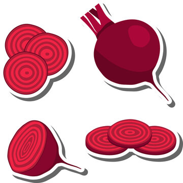 Set tasty natural eco product vegetable beetroot