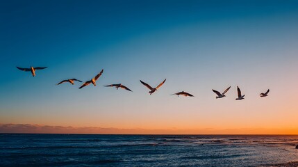Fototapeta premium Seagulls fly in formation across a sunset sky above the calm ocean.