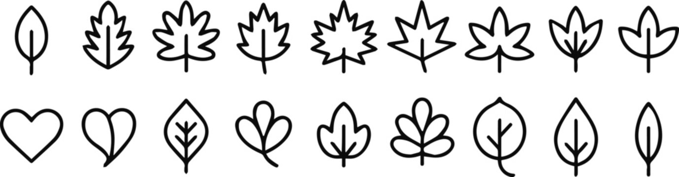Maple and oak leaf icon pack for projects