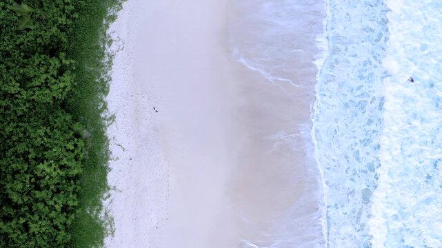 Aerial top-down drone shot looking straight down at an empty white sand beach with lush palms on one edge and waves crashing along the shoreline in the Seychelles.