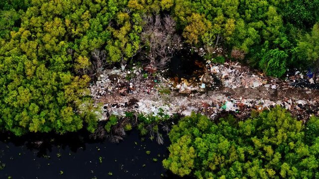 Stark aerial drone footage reveals a devastating strip of illegal waste and garbage dumped through the center of a lush mangrove forest, highlighting environmental pollution and ecological destruction