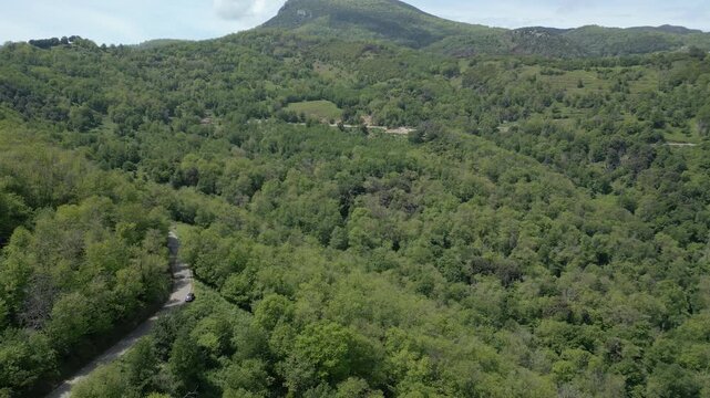 Aerial drone shot over chestnut tree canopy towards mountain peaks at Penta di Casinca heights, Corsica