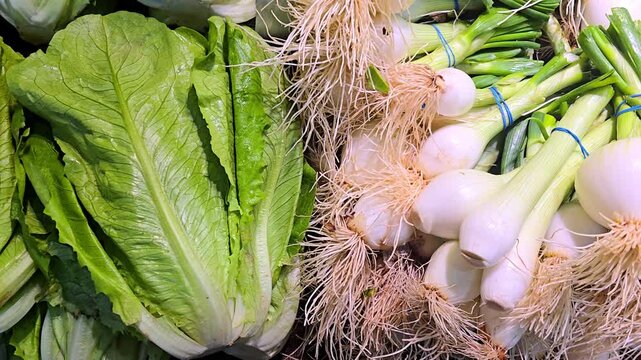 Close up view of a fresh lettuce head and garlic bulbs on display, showing natural texture, green leaves and white cloves, capturing organic produce, healthy food and farm market freshness.
