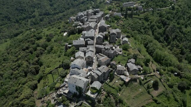 Aerial drone forward flight approaching Penta di Casinca hilltop village surrounded by chestnut forest, Corsica