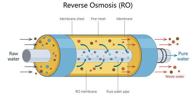 Educational diagram showing reverse osmosis filtration, where raw water passes through membrane layers to produce pure water and waste water diagram hand drawn schematic raster. Science educational