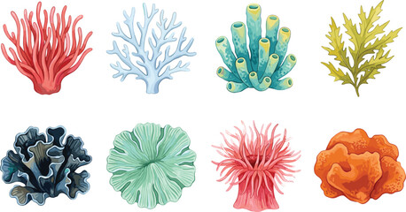 Colorful Coral Reef Collection Featuring Various Sea Corals, Marine Plants, and Ocean Elements for Underwater Illustration, Aquarium Design, and Tropical Marine Graphics © MstSuborna