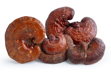 Lingzhi or Reishi mushroom with capsules, organic natural healthy food isolated on white. © Warawan