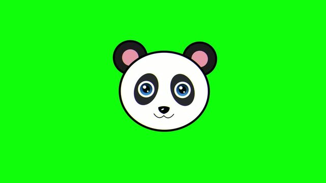 Cute Animated Panda Face on Green Screen Background. 4K Video
