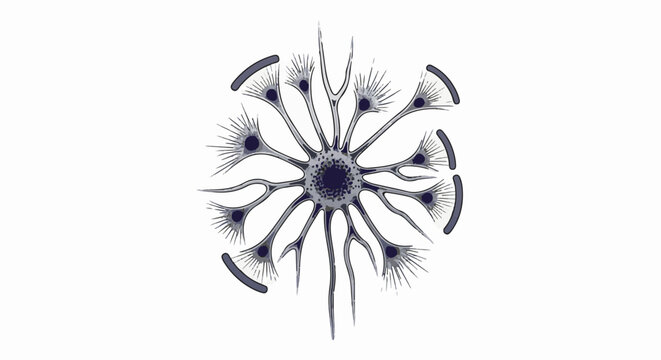 Abstract circular structure with radiating arms and spiky tips